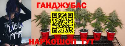 не бодяженный Малоярославец